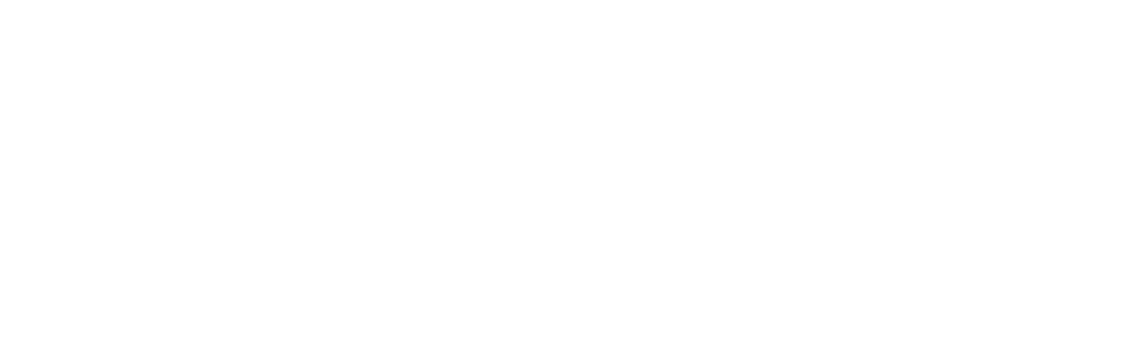 Tasman Business and Tourism Association Logo