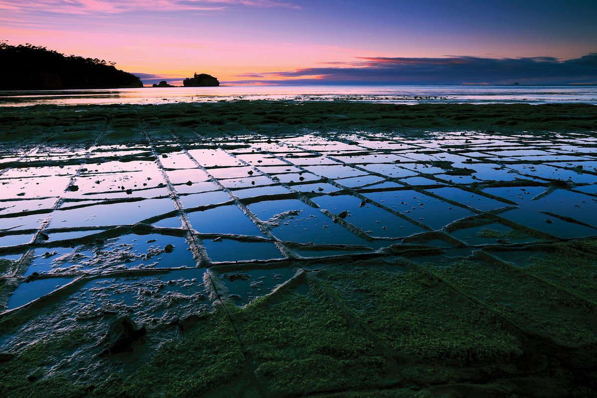 Tessellated Pavement Lee Henley F1F291